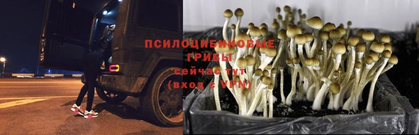 альфа пвп VHQ Новозыбков