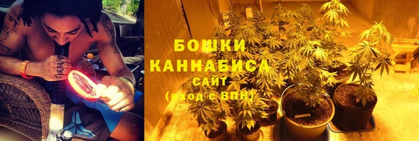 ГАЛЛЮЦИНОГЕННЫЕ ГРИБЫ Новокубанск