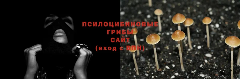 Галлюциногенные грибы MAGIC MUSHROOMS  купить закладку  Тюкалинск 