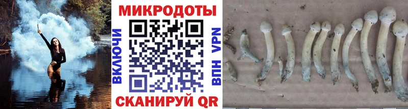 Галлюциногенные грибы мицелий  mega зеркало  Тюкалинск 